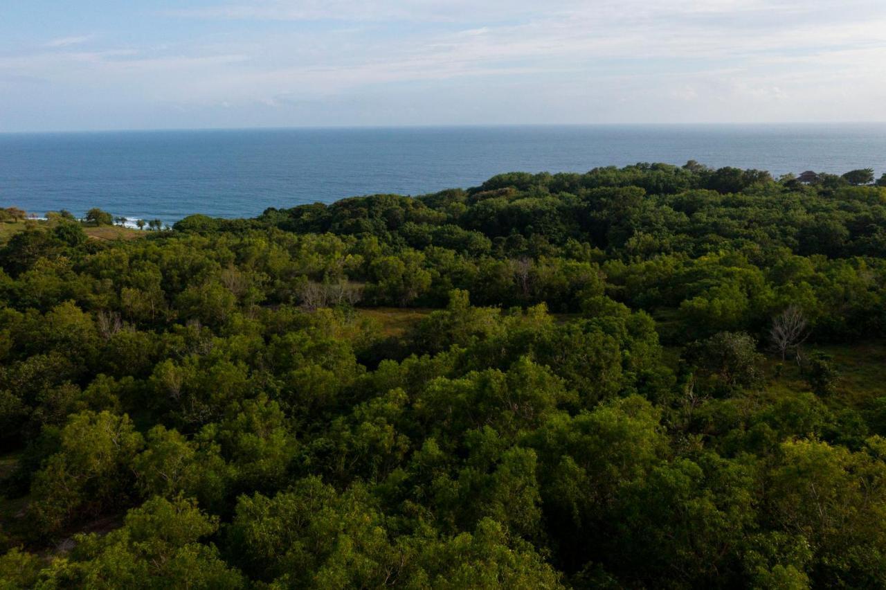 Moritz Palm Villa Ungasan Екстериор снимка